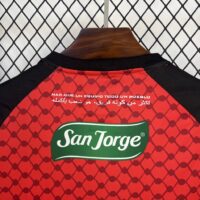 e4eae42295bb498cab5d6ff1e6e738e3 CD Palestino 2025-26 Third Jersey