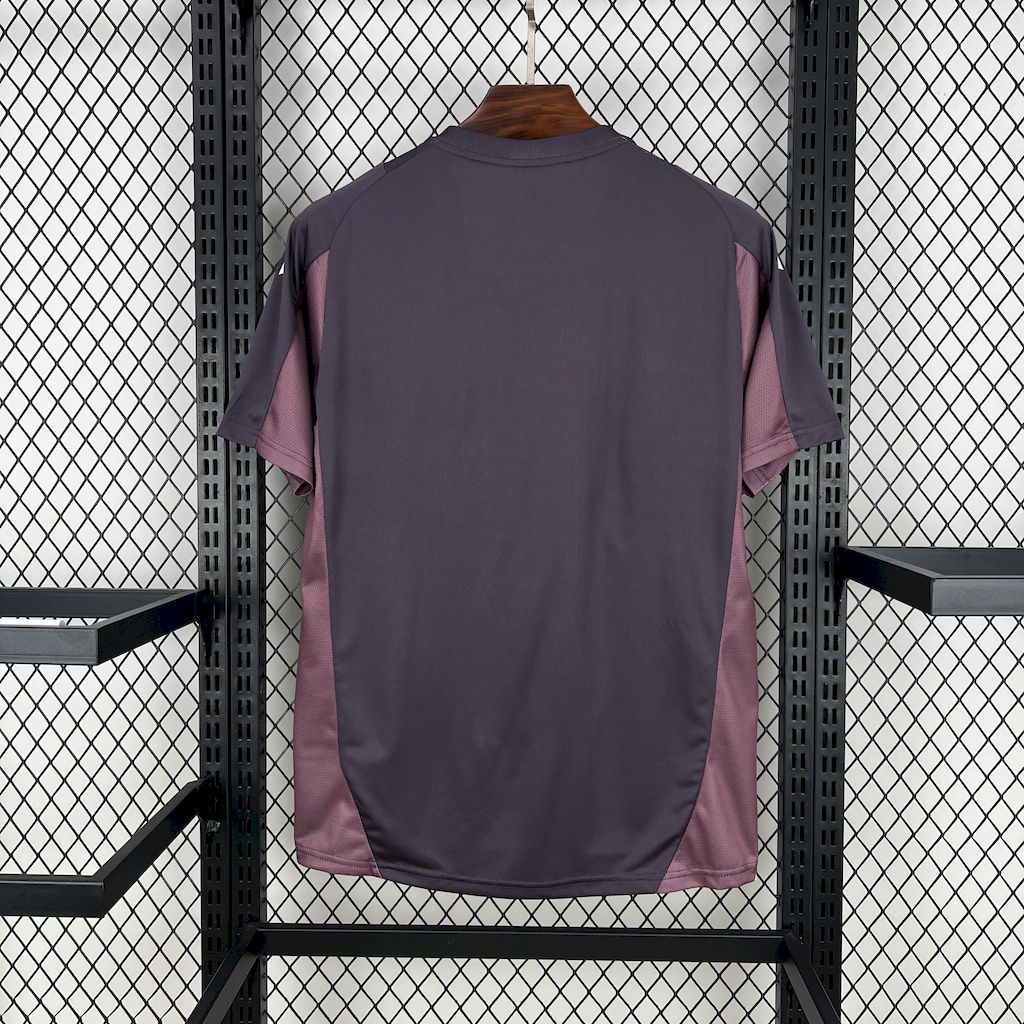 f3b1ac5fc7a64bada3a6943ecadf2b7c Arsenal 202425 Tiro Training Jersey