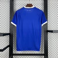 f6f57ea2a84e4a1fb2b9bf5177ccedb3 FC Dinamo Tbilisi 2025-26 Home Jersey