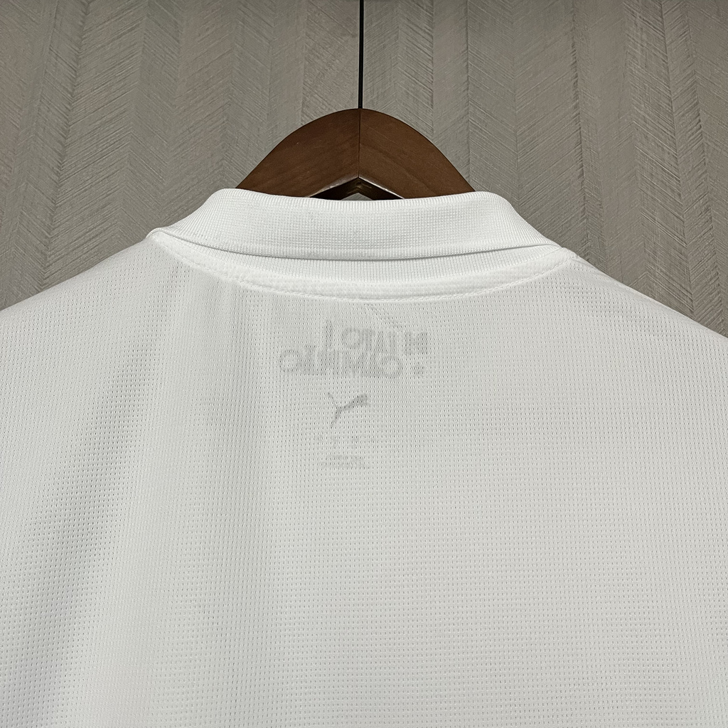 f883c80e2448466698bb72b31a5495ee 2025-26 Palmeiras away jersey
