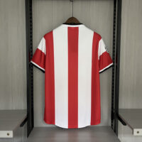 fbd838c5294341f5b3318a1d61b89590 Retro PSV 1998-99 home