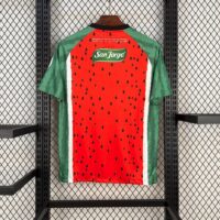 CD Palestino 2025-26 Fourth Away Jersey