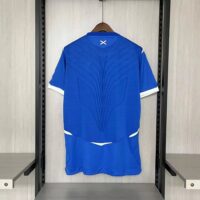 fd06a93cc4ff401b8806c3672d2aa884 Retro 2008-09 Rangers Home