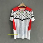 Palestino Retro 16-17 Home