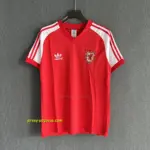 Wales Retro 1982 Home