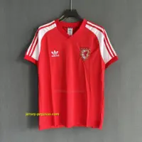 Wales Retro 1982 Home Wales Retro 1982 Home