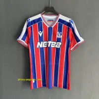 Crystal Palace Home Player Version