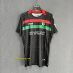 Palestine Away Player Version
