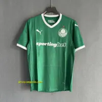 Palmeiras Home Player Version Palmeiras Home Player Version