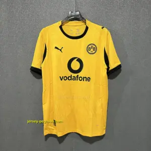 Borussia Dortmund Cup Home