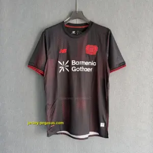 Leverkusen Home