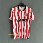 Stoke City Home