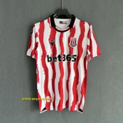 Stoke City Home