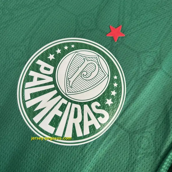 Palmeiras Home Player Version