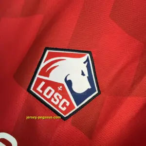 Lille OSC Home