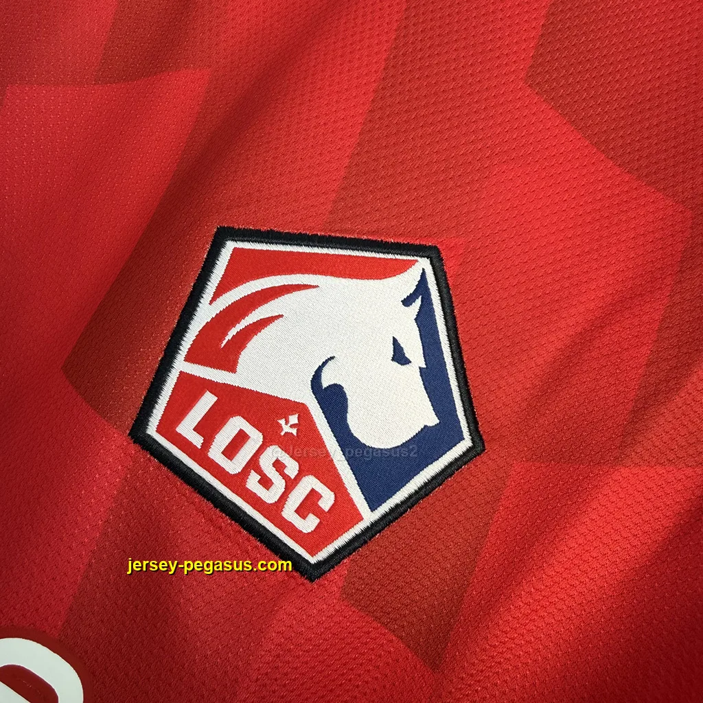 Lille OSC Home