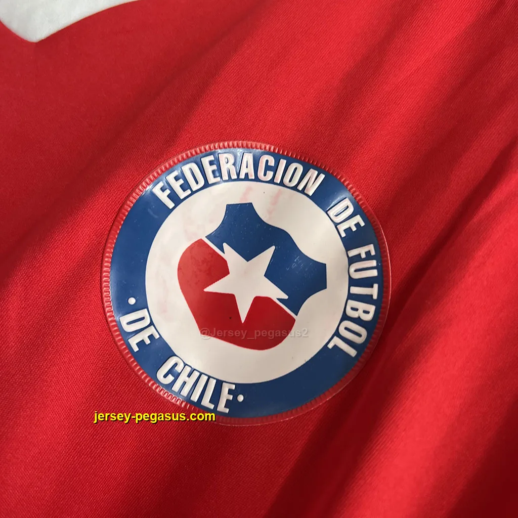 Chile Retro 2014 Home Chile Retro 2014 Home