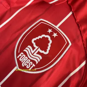 Nottingham Forest Home