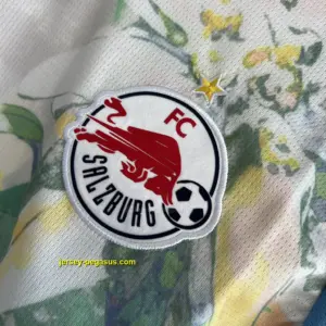 Salzburg 2025 Club World Cup