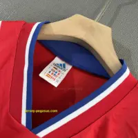 Bayern Munich Retro 93-94 Home