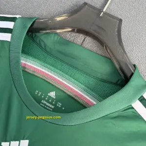 Mexico Retro 2014 Home