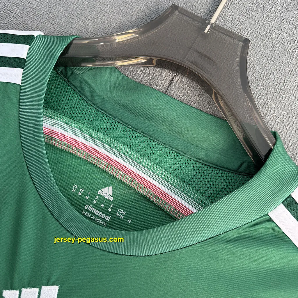 Mexico Retro 2014 Home