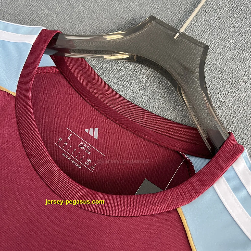 Aston Villa Home