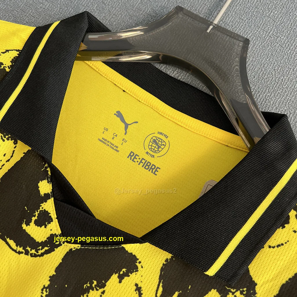 Dortmund 2025 FIFA Club World Cup