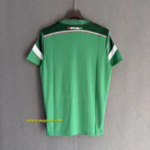 Mexico Retro 2014 Home