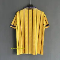 Sheffield Wednesday Retro 94-95 Away Sheffield Wednesday Retro 94-95 Away