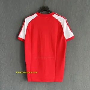 Wales Retro 1982 Home