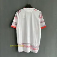 Bayern Munich Away Player Version