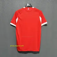 Bayern Munich Home Player Version