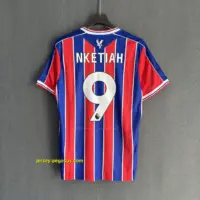 Crystal Palace Home Player Version