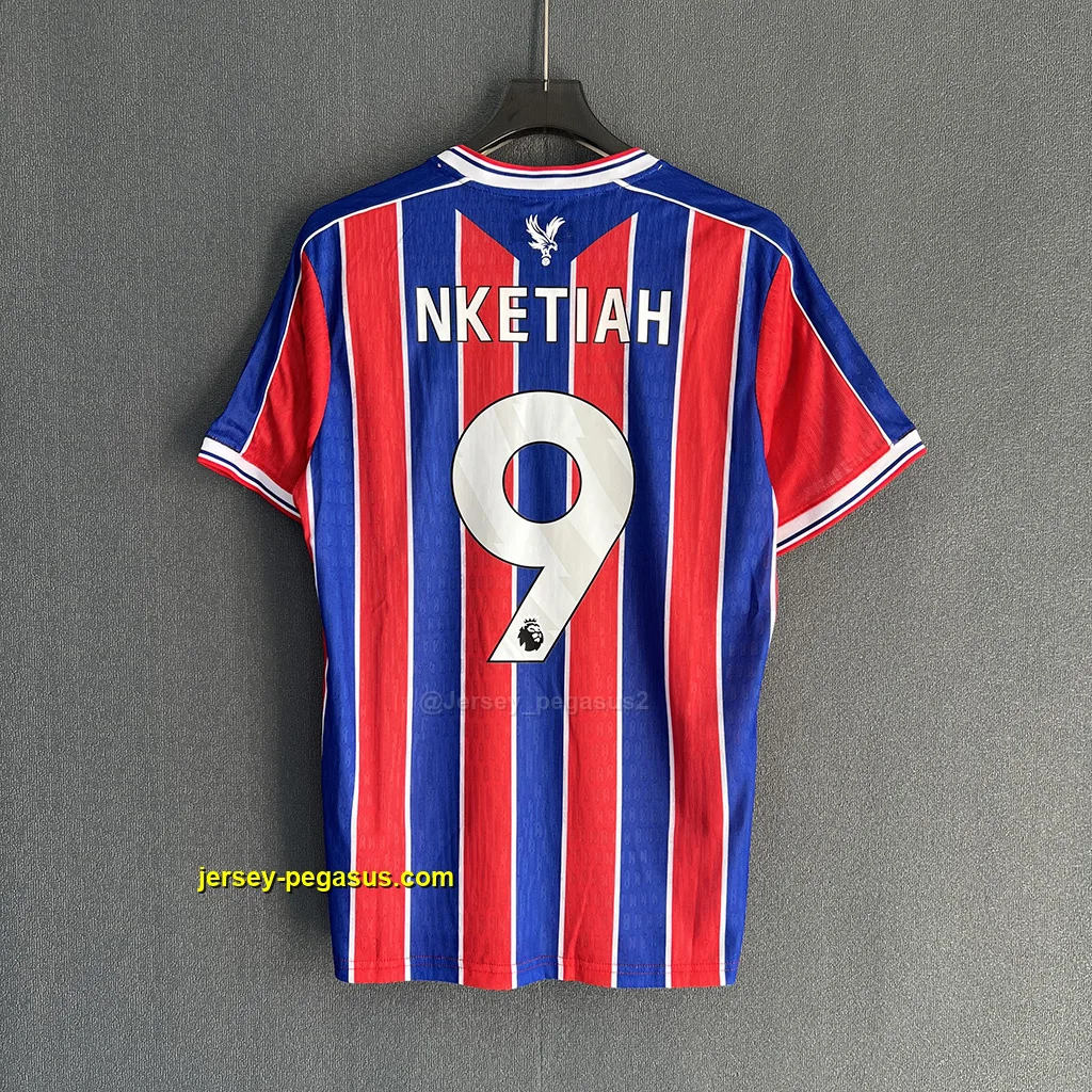 Crystal Palace Home Player Version