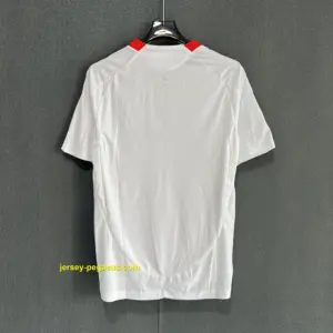 Liverpool Away Player Version