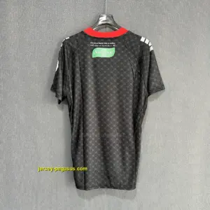 Palestine Away Player Version