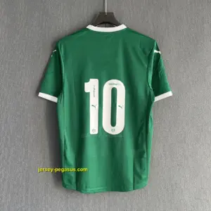 Palmeiras Home Player Version
