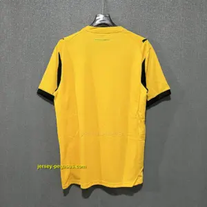 Borussia Dortmund Cup Home