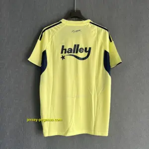 Fenerbahce Away