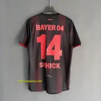 Leverkusen Home