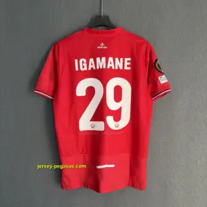 Lille OSC Home