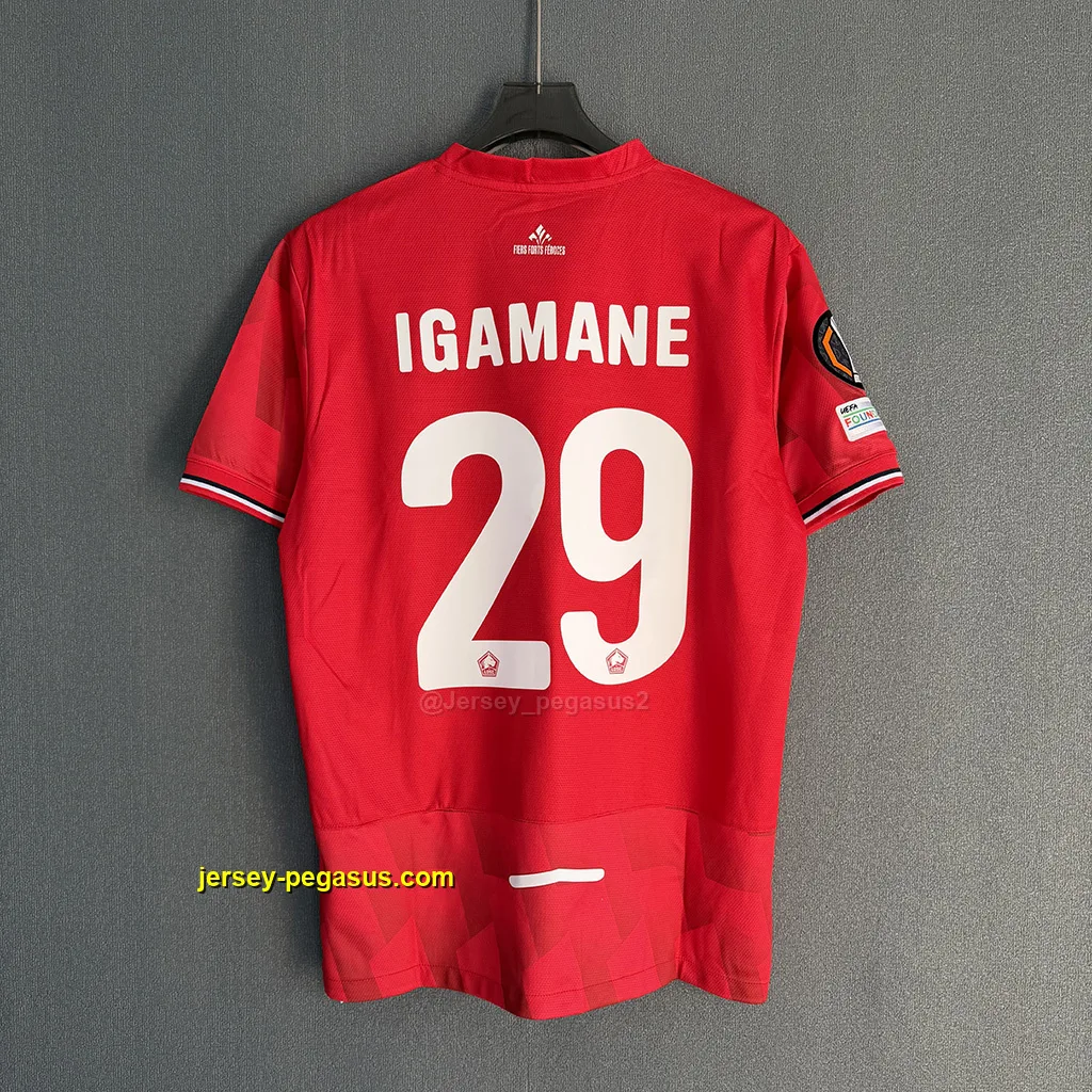 Lille OSC Home