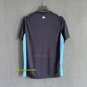 Olympique de Marseille Away