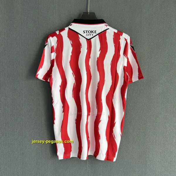 Stoke City Home