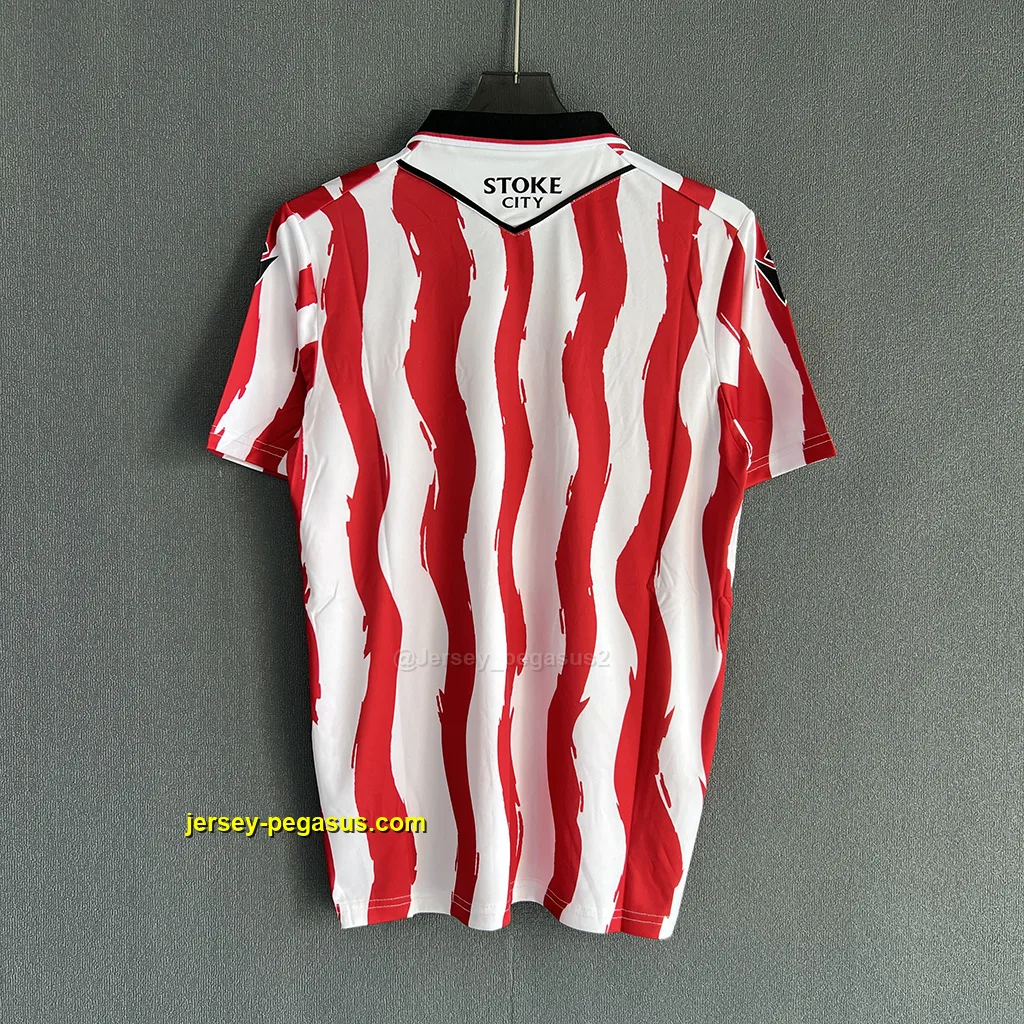 Stoke City Home Stoke City Home