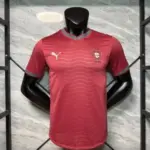 Portugal 2026 Home player version