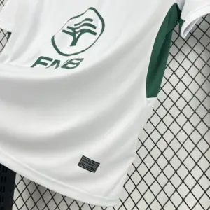 South Africa Springbok 2026 Away Jersey