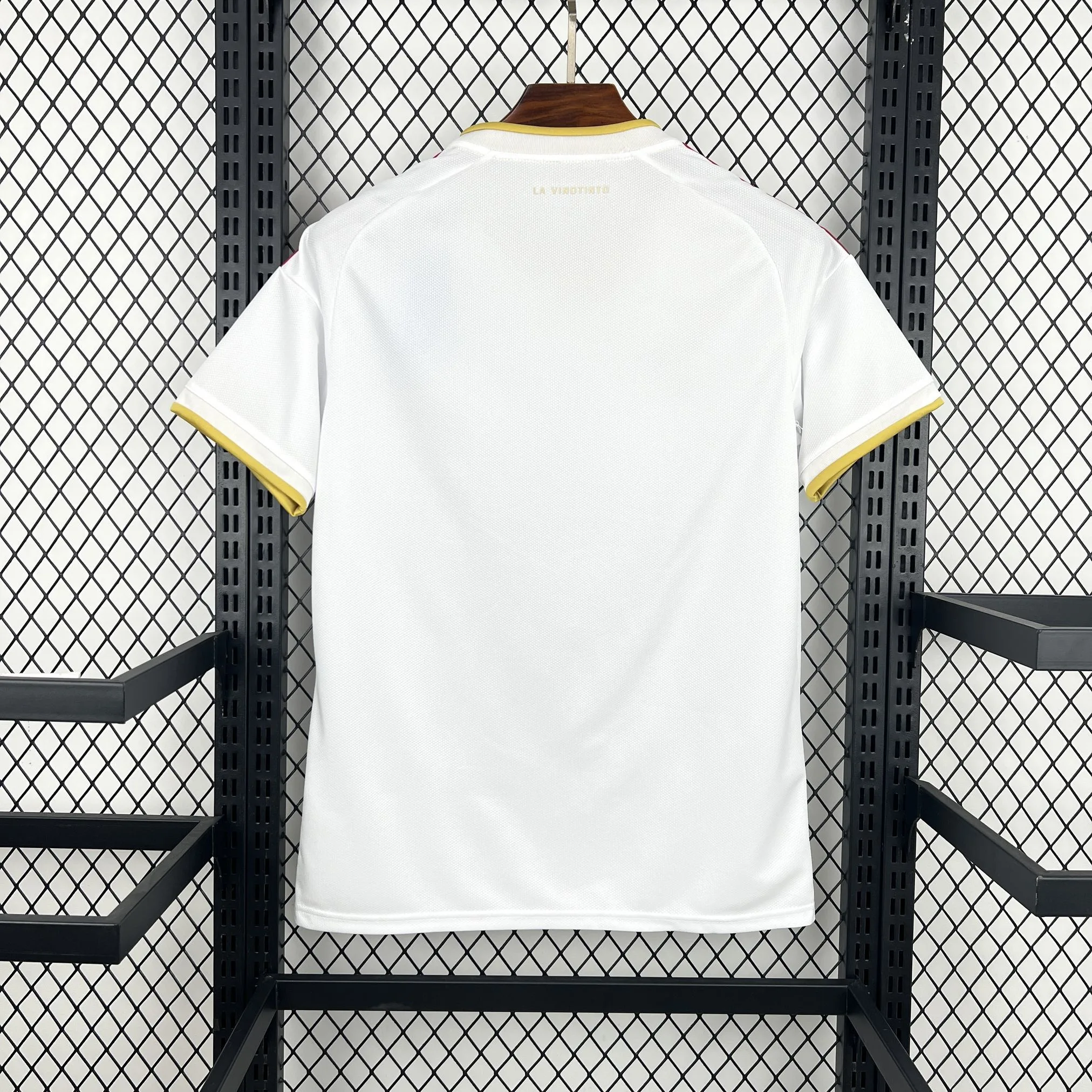 Venezuela 2026 World Cup Away Jersey