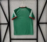 Algeria 2006 World Cup Away Soccer Jersey Algeria 2006 World Cup Away Soccer Jersey